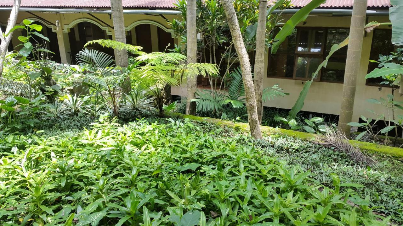 Centro Bajo Hotel & Resto Лабуан-Бахо Номер фото