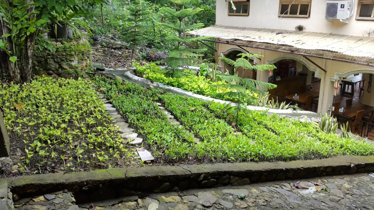 Centro Bajo Hotel & Resto Лабуан-Бахо Номер фото